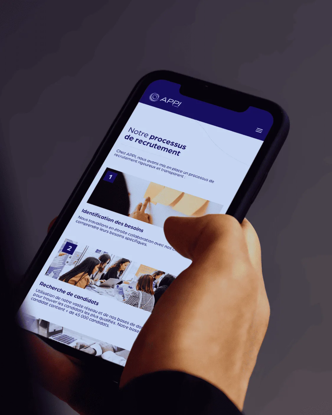 APPI Website preview 5