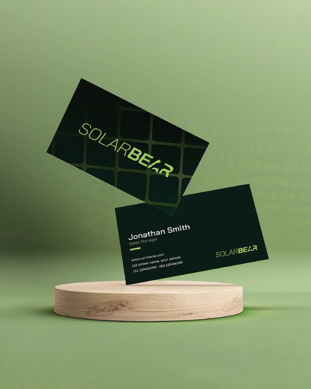 Solarbear Website preview 3